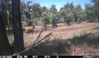 0 County Road 170, Agate, CO 80101