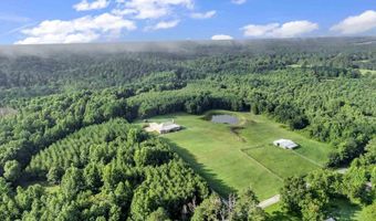 1604 COUNTY ROAD 80, Addison, AL 35540