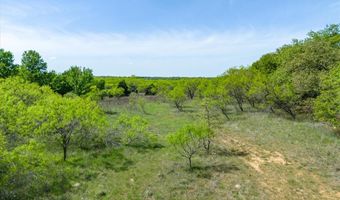 Tbd 59 State Highway, Bowie, TX 76230