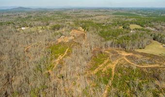 170 Sperin Cabinet Rd, Ball Ground, GA 30107