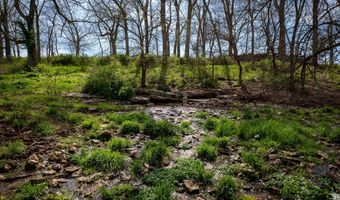 006 County Road 14, Aldrich, MO 65601