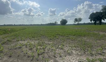 Oscar Rivette Road lot Tract 4, Arnaudville, LA 70512