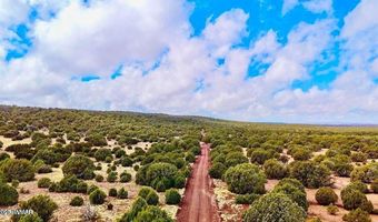 Tbd Co Rd 8256 Lot C 10 Acres, Concho, AZ 85924