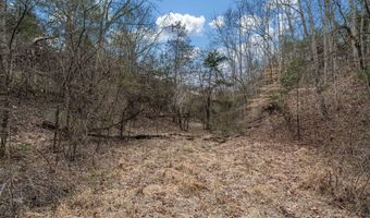 Smithtown Road, Afton, TN 37616