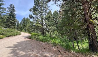 Tbd Hilltop Road 43 & 44, Cascade, ID 83611