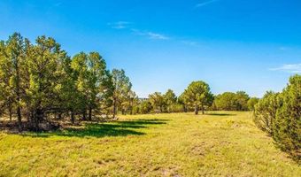 Lot 27 Cochiti Court, Alto, NM 88312