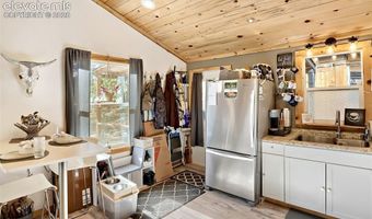 226 Hall Rd, Bailey, CO 80421