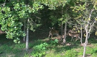 375 Middle Creek Rd, Afton, TN 37616