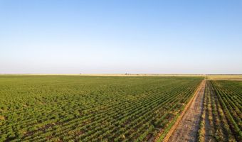 Shepard Street, Abernathy, TX 79311
