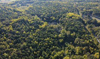 51 Shelton Rd, Bee Branch, AR 72013