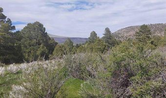 01195 Rito Hondo Rd, Antonito, CO 81120