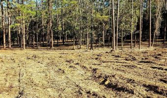 11040 County Road 138, Bay Minette, AL 36507