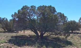 268 N 5383, Concho, AZ 85924