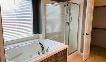407 Spring Leaf Ct, Allen, TX 75002