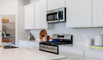 13305 Mullica Dr Plan: Charleston, Ellendale, DE 19941