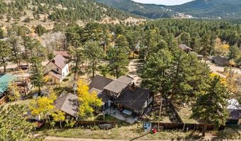 40 Ski Rd, Allenspark, CO 80510