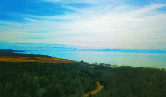 Maxey Road, Arcadia, MI 49613