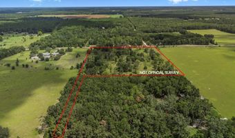 TBD 10th St, Bell, FL 32619