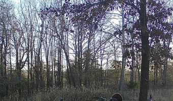 14782 County Road 7990, Bakersfield, MO 65609