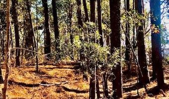 6209 Riviera Dr, Biloxi, MS 39532