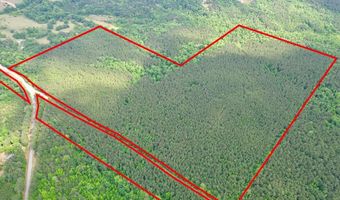 00 County Road 107, Ariton, AL 36311