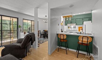11069 Cedar View Rd, Charlotte, NC 28226