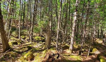 Spruce Mountain Lake, Beddington, ME 04622