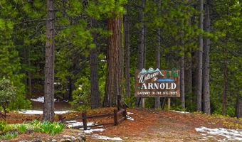2883 Chinook Way, Arnold, CA 95223