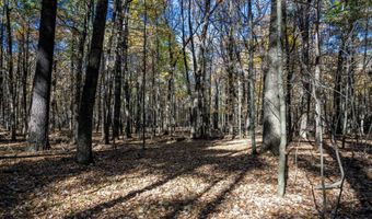 Lot 33 S Badger Lane, Arkdale, WI 54613