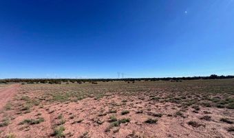 005 N9119, Concho, AZ 85924