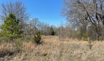 Willow Bend Lane, Atoka, OK 74525