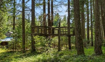 55482 DELTA Rd, Blue River, OR 97413