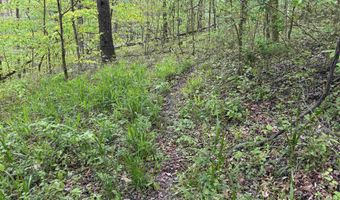 7046 S State Road 145, Birdseye, IN 47513