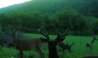 12129 N Scenic Hwy, Bastian, VA 24314