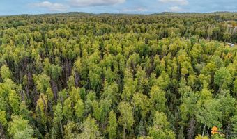 6092 S Purinton Pkwy, Big Lake, AK 99623
