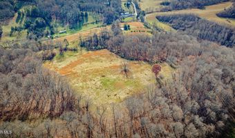 1520 Brittontown Rd, Afton, TN 37616