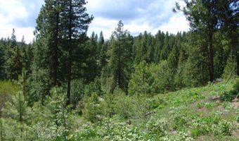 28 Rehn Loop Lot 2, Cascade, ID 83611