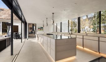 931 Gibson Ave, Aspen, CO 81611