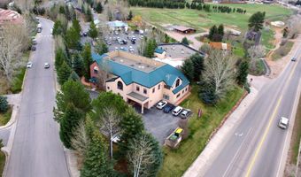 100 Elk Run Dr 220, Basalt, CO 81621