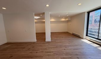 601 E Hopkins Ave 202, Aspen, CO 81611