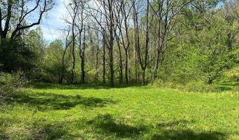 12 Acs Gidsville Rd, Amherst, VA 24521