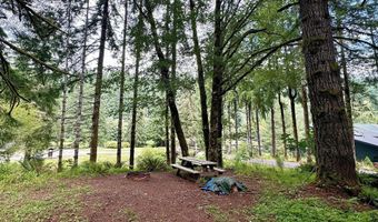 9965 BEACH Dr, Birkenfeld, OR 97016