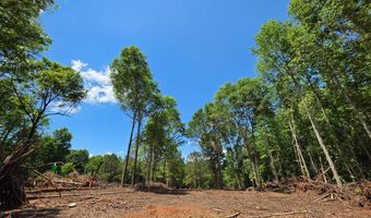 148 Berry Rd Lot 12A, Barnesville, GA 30204