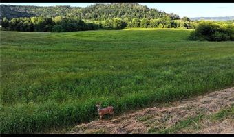 N3953-201 Bear Pen Road, Arkansaw, WI 54721