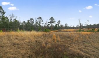 868 County Road 2920, Alba, TX 75410