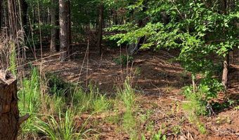 Rock House Road, Blacksburg, SC 29702