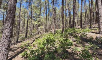 249 Timber Dr, Bayfield, CO 81122