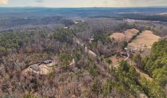 897 George Green Rd, Tallapoosa, GA 30176