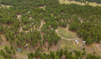 County Rd 2121, Alpine, AZ 85920