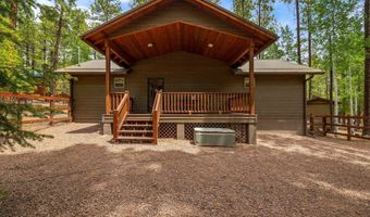 2 County Road 2069, Alpine, AZ 85920